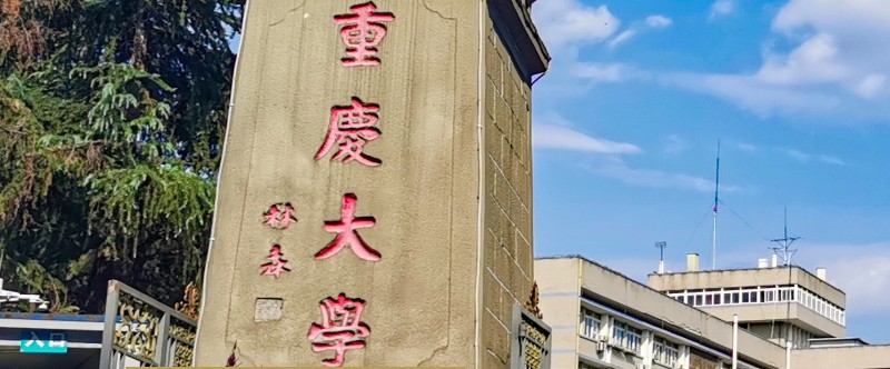 重庆大学中外合作办学2024高考在湖南专业录取分数线