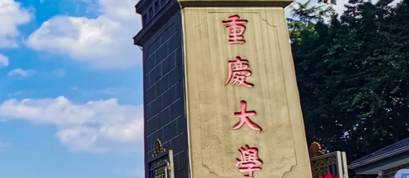 重庆大学中外合作办学2024高考在重庆专业录取分数线