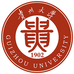 2024高考贵州大学在甘肃历史类最低多少分？2025年参考554分