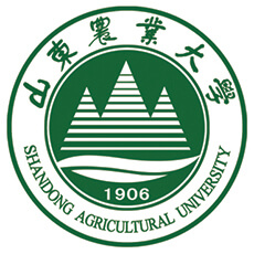 2024山东农业大学山东地方专项分专业录取分数线和最低位次 最低513