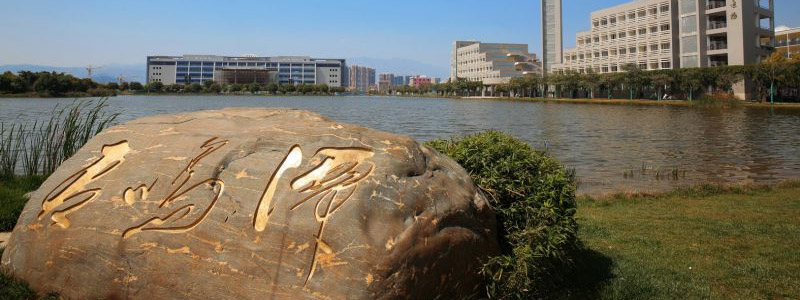 2025红河学院老挝语专业分数线:各省最低462分