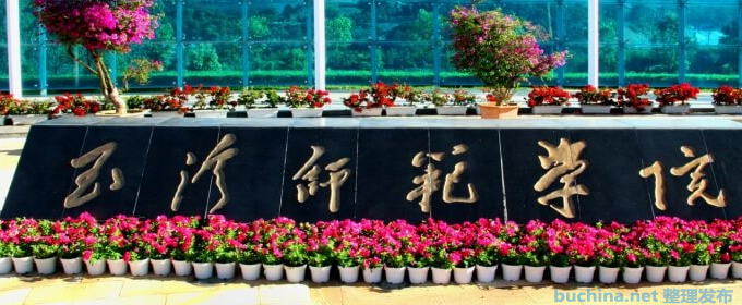 玉溪师范学院全国排名多少位：全国第441名