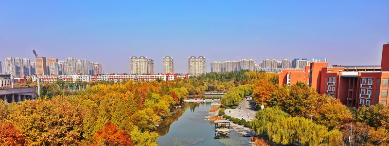 2025郑州大学第201组有哪些专业？最低多少分？最低527分