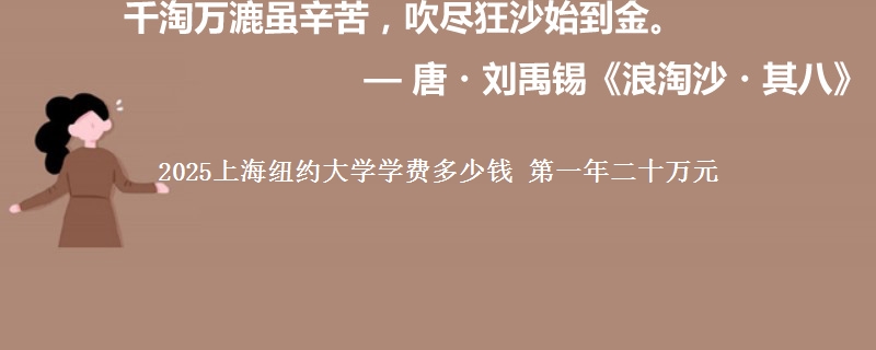 2025上海纽约大学学费多少钱 第一年二十万元