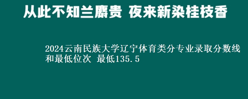 2024云南民族大学辽宁体育类分专业录取分数线和最低位次 最低135.5