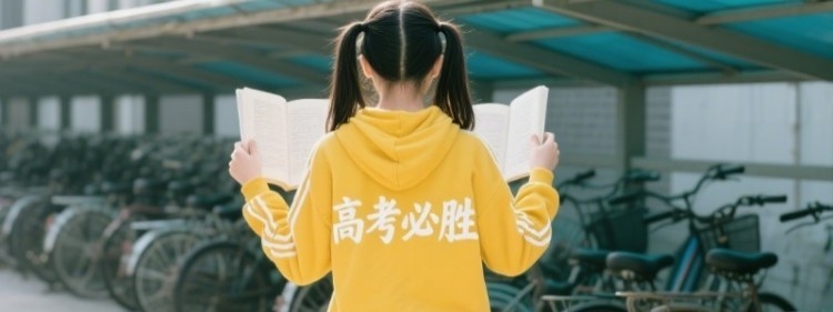 山西华澳商贸职业学院全国排名多少位：全国第316名