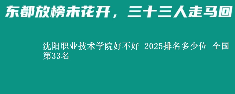 沈阳职业技术学院全国排名多少位：全国第33名