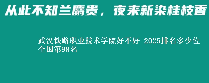 武汉铁路职业技术学院全国排名多少位：全国第98名