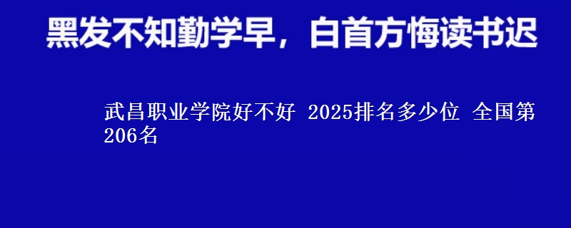 武昌职业学院全国排名多少位：全国第206名