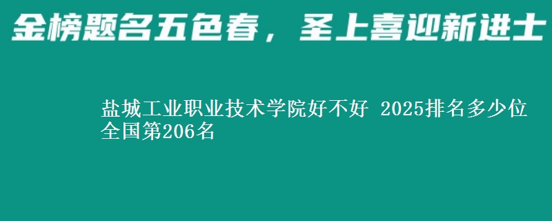 盐城工业职业技术学院全国排名多少位：全国第206名