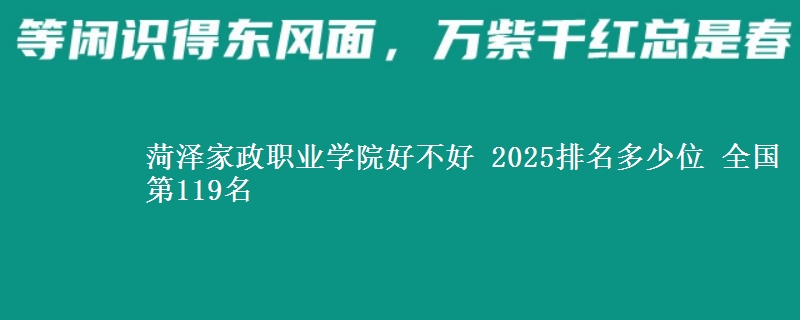 菏泽家政职业学院全国排名多少位：全国第119名