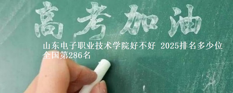 山东电子职业技术学院全国排名多少位：全国第286名