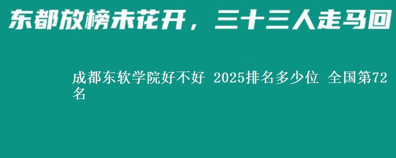 成都东软学院全国排名多少位：全国第72名