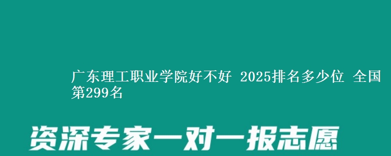 广东理工职业学院好不好 2025排名多少位 全国第299名