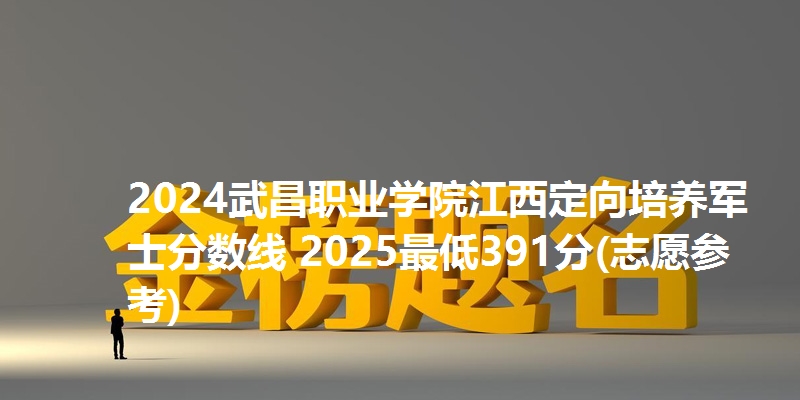 2024武昌职业学院江西定向培养军士分数线 2025最低391分(志愿参考)