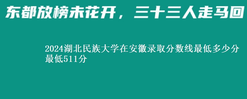 2024湖北民族大学在安徽录取分数线最低多少分 最低511分