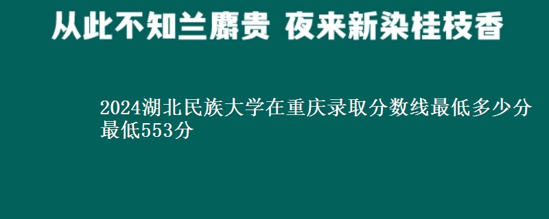 2024湖北民族大学在重庆录取分数线最低多少分 最低553分