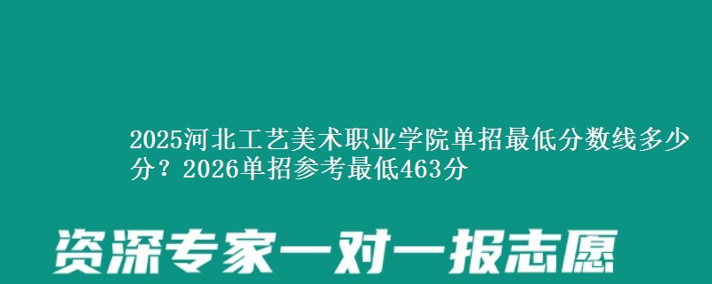 2025河北工艺美术职业学院单招最低分数线多少分？2026单招参考最低463分