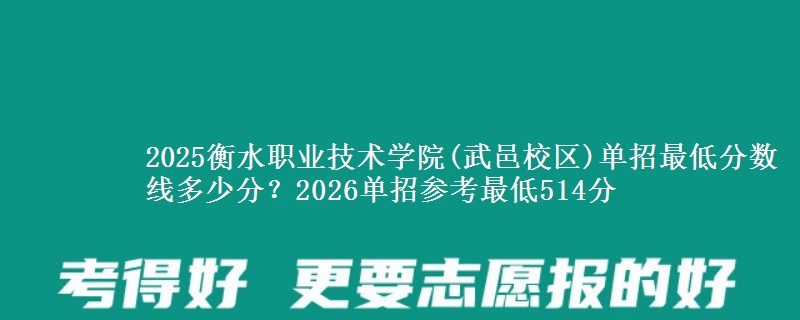 2025衡水职业技术学院(武邑校区)单招最低分数线多少分？2026单招参考最低514分