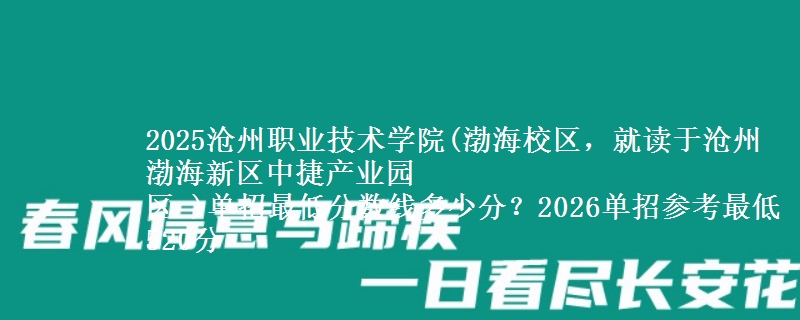2025沧州职业技术学院(渤海校区，就读于沧州渤海新区中捷产业园
区 )单招最低分数线多少分？2026单招参考最低520分