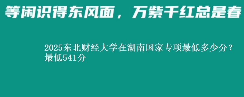 2025东北财经大学在湖南国家专项最低多少分？最低541分