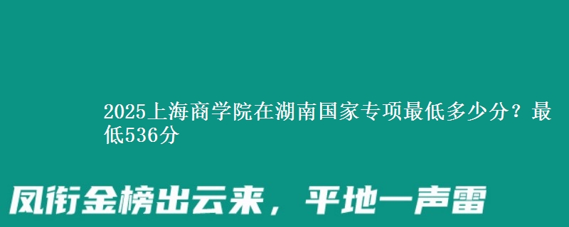 2025上海商学院在湖南国家专项最低多少分？最低536分
