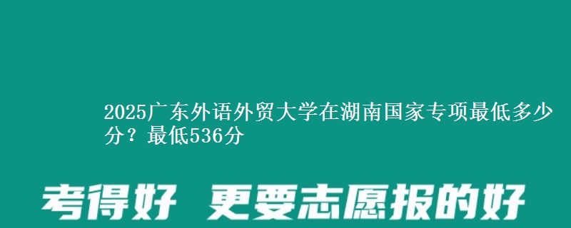 2025广东外语外贸大学在湖南国家专项最低多少分？最低536分