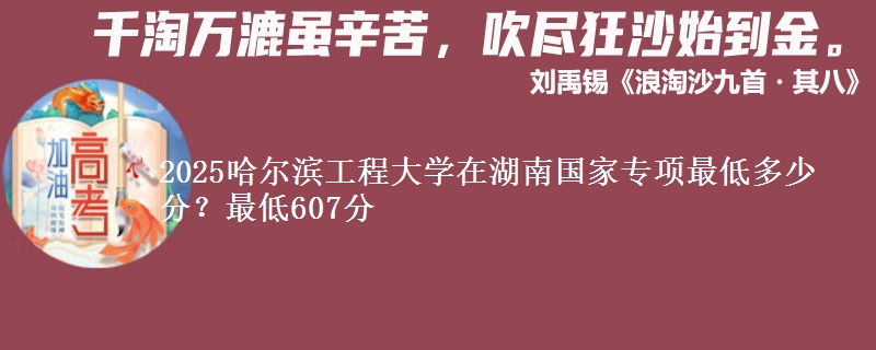 2025哈尔滨工程大学在湖南国家专项最低多少分？最低607分