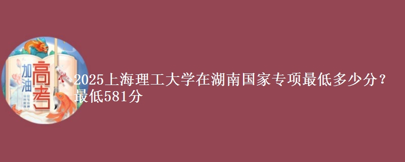 2025上海理工大学在湖南国家专项最低多少分？最低581分