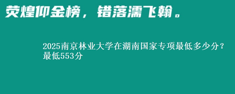 2025南京林业大学在湖南国家专项最低多少分？最低553分