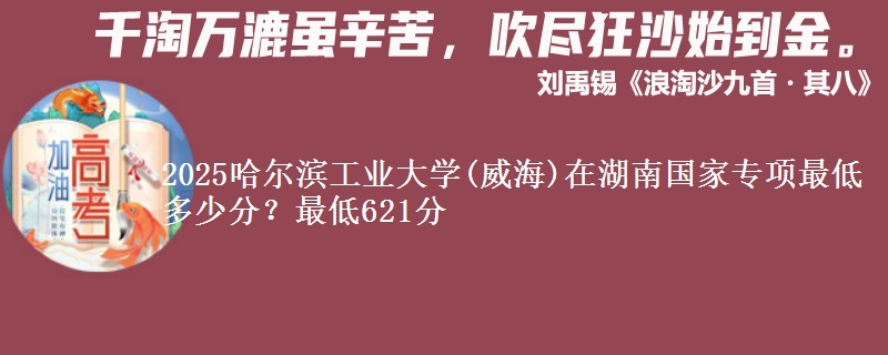 2025哈尔滨工业大学(威海)在湖南国家专项最低多少分？最低621分