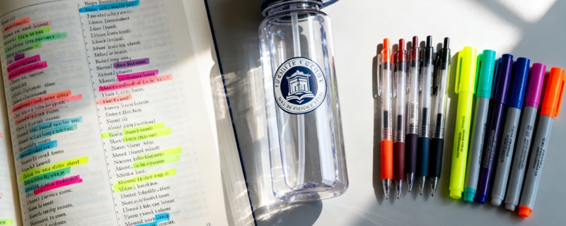 郑州大学2025高考艺术类河北专业最低分和位次