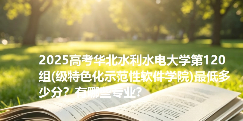 2025高考华北水利水电大学第120组(级特色化示范性软件学院)最低多少分？有哪些专业？