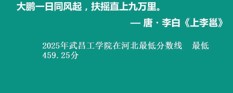 2025年武昌工学院在河北最低分数线  最低459.25分