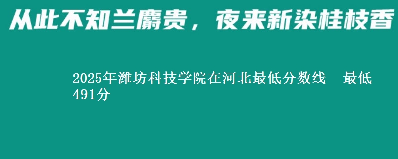 2025年潍坊科技学院在河北最低分数线  最低491分