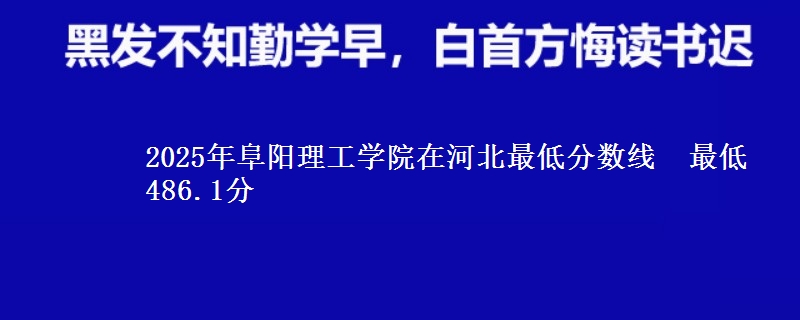 2025年阜阳理工学院在河北最低分数线  最低486.1分