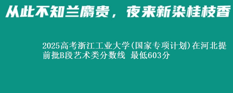 2025年浙江工业大学(国家专项计划)在河北提前批B段艺术类分数线 最低603分