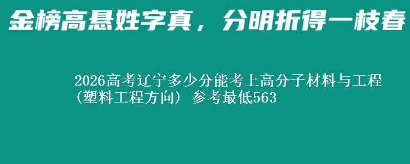 2026辽宁多少分能考上高分子材料与工程(塑料工程方向) 参考最低563