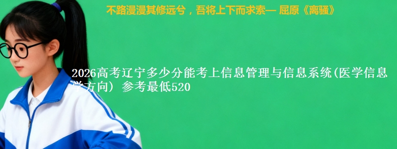 2026辽宁多少分能考上信息管理与信息系统(医学信息学方向) 参考最低520