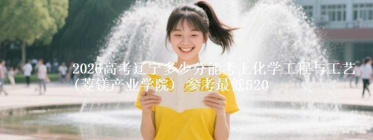 2026辽宁多少分能考上化学工程与工艺(菱镁产业学院) 参考最低520