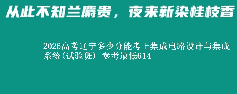 2026辽宁多少分能考上集成电路设计与集成系统(试验班) 参考最低614