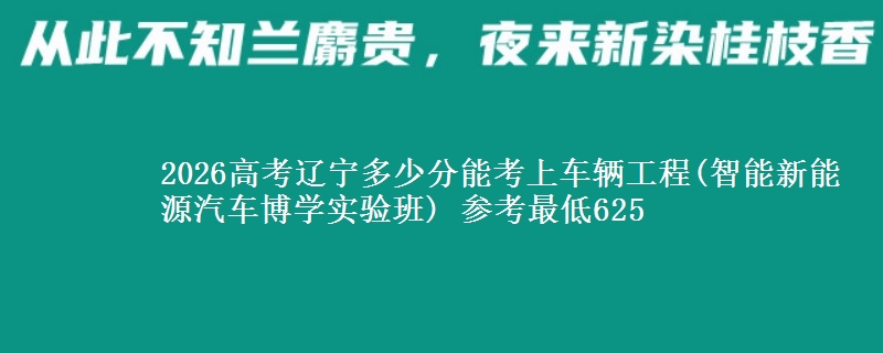 2026辽宁多少分能考上车辆工程(智能新能源汽车博学实验班) 参考最低625
