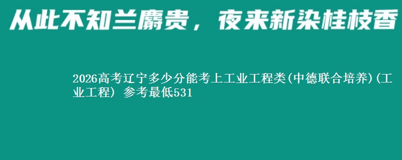2026辽宁多少分能考上工业工程类(中德联合培养)(工业工程) 参考最低531