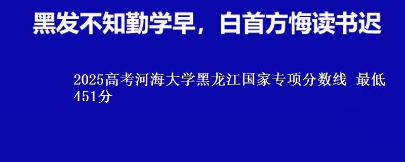 2025年河海大学黑龙江国家专项分数线 最低451分
