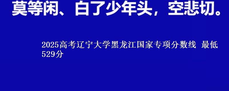 2025年辽宁大学黑龙江国家专项分数线 最低529分