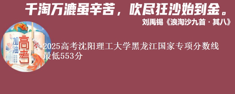 2025年沈阳理工大学黑龙江国家专项分数线 最低553分