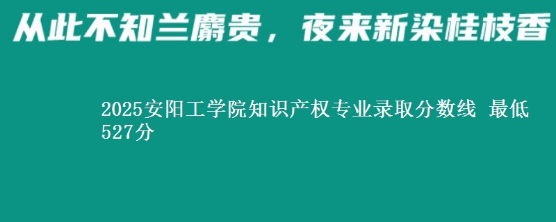 2025安阳工学院知识产权专业分数线：最低527分