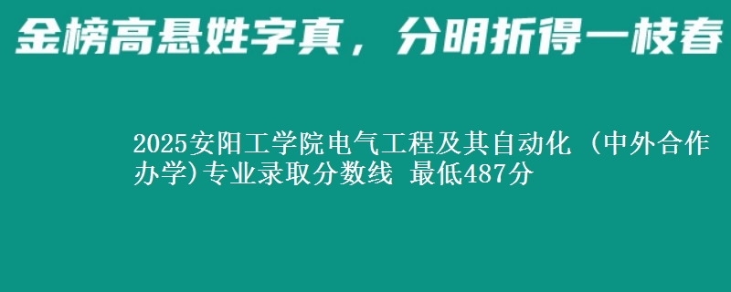 2025安阳工学院电气工程及其自动化 (中外合作办学)专业分数线：最低487分