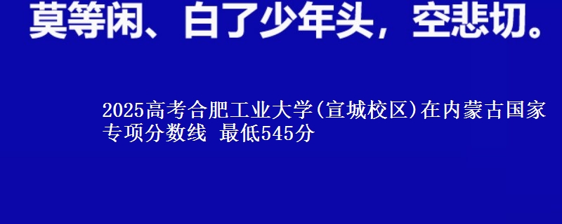 2025高考合肥工业大学(宣城校区)在内蒙古国家专项分数线 最低545分