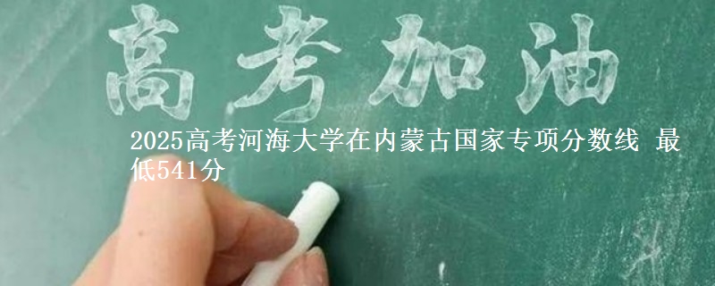 2025高考河海大学在内蒙古国家专项分数线 最低541分